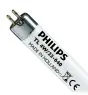 Philips T5 Short 4W - 640 Kaltweiß | 14cm